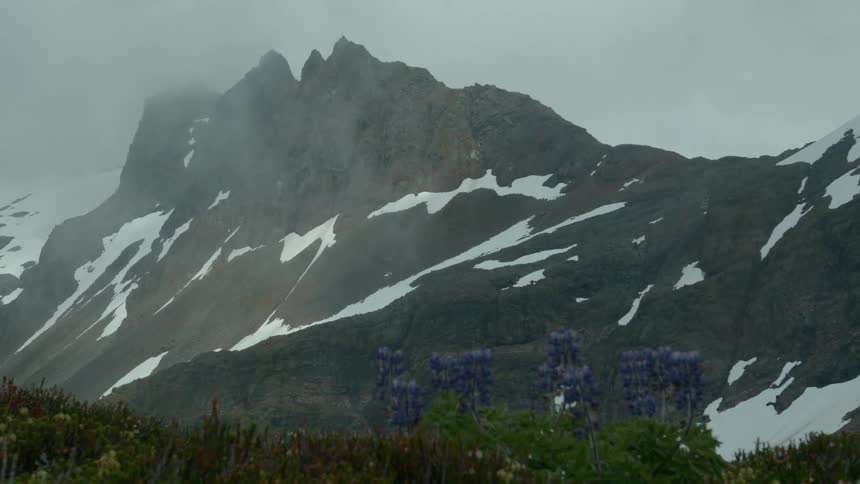Misty mountain peaks rise above snow streaked slopes with wildflowers in the foreground