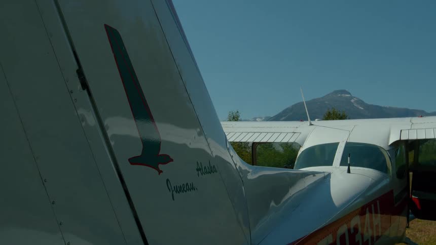 The plane is parked in the grass