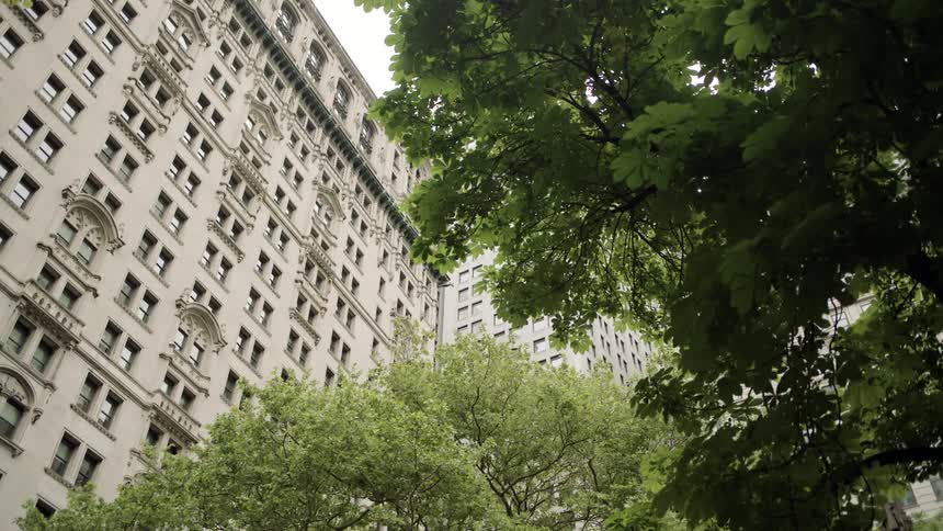 Tall buildings with classical architecture rise behind green treetops