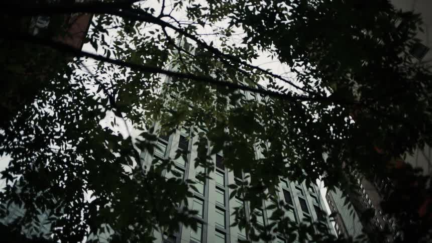 Upward view of buildings in an urban city