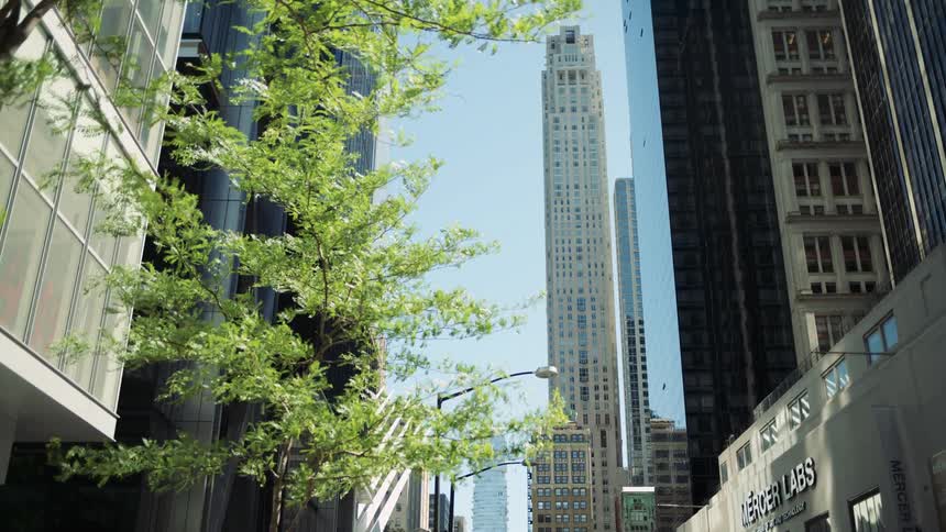 A vibrant urban scene where leafy green trees frame a view of majestic skyscrapers piercing the clear blue sky with city infrastructure like streetlights and signs visible along the buildings