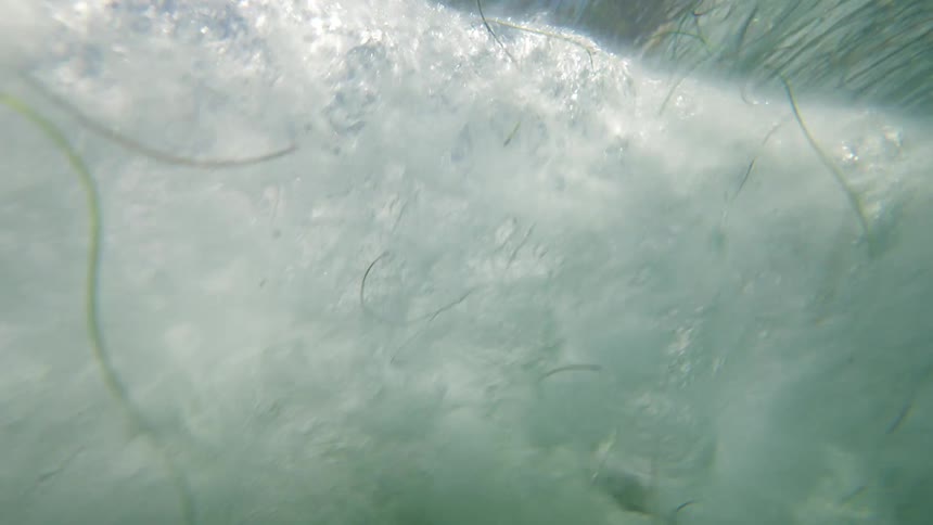 A wave curls overhead in shallow coastal water with the shoreline and blue sky briefly visible in the distance