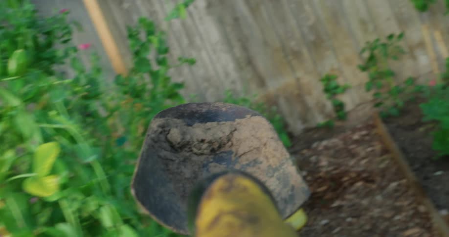 A small black shovel filled with dark soil moves among green plants and loose brown earth