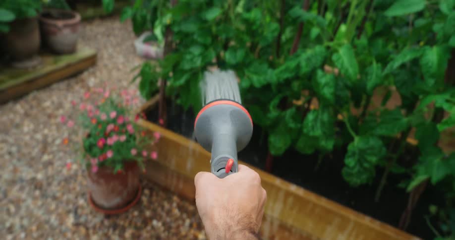 A man waters plants in garden with a sprinkler device outdoors during daytime