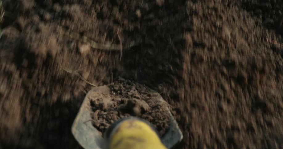 Yellowhandled shovel moves loose soil in a crop bed