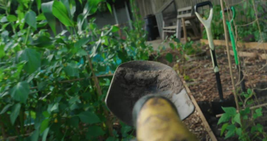A shovel is taken into a garden where two other shovels are stuck in the ground surrounded by plants