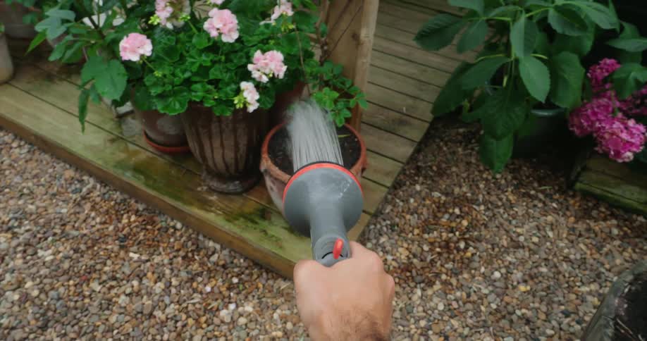 Person with a hose with a jet of water watering flowers