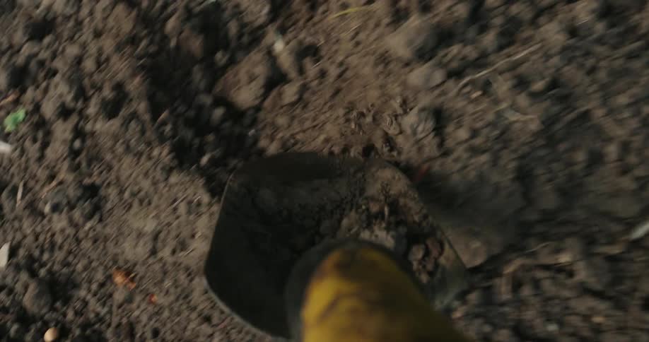 A small black shovel scooping dark soil in a garden planter