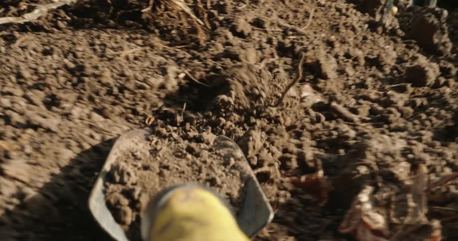A shovel is used to flatten dirt and dig