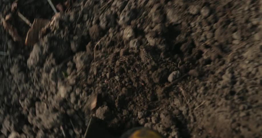 A shovel shoveling dirt in a garden near flowers