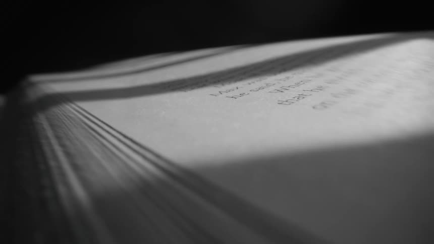 Pages of an open book with a reflection of shadow and sun