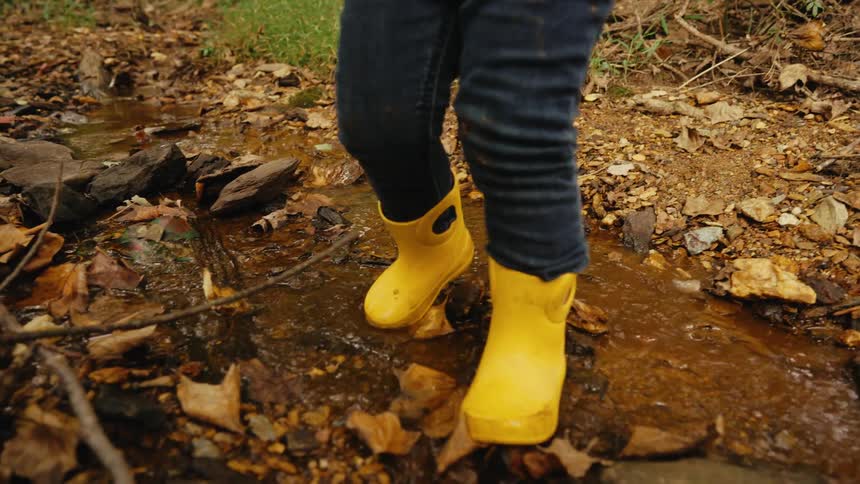 A child wears blue jeans and bright yellow rain boots while walking through a shallow stream filled with brown leaves and rocks