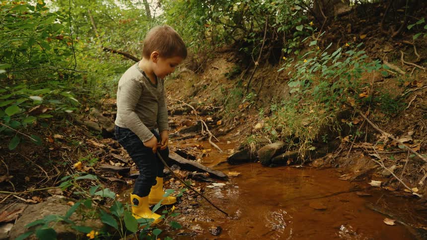 The boy dips the stick in the pond