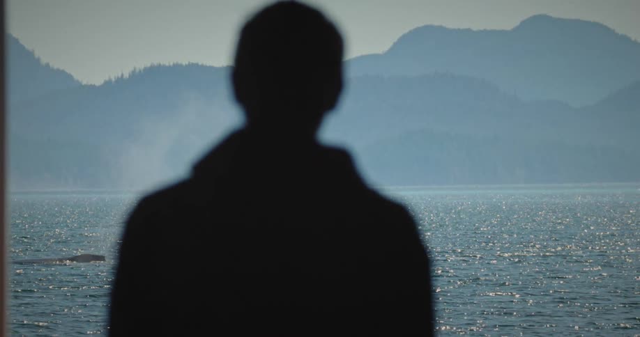 A silhouetted person looks out over a calm lake with forested mountains in the distance