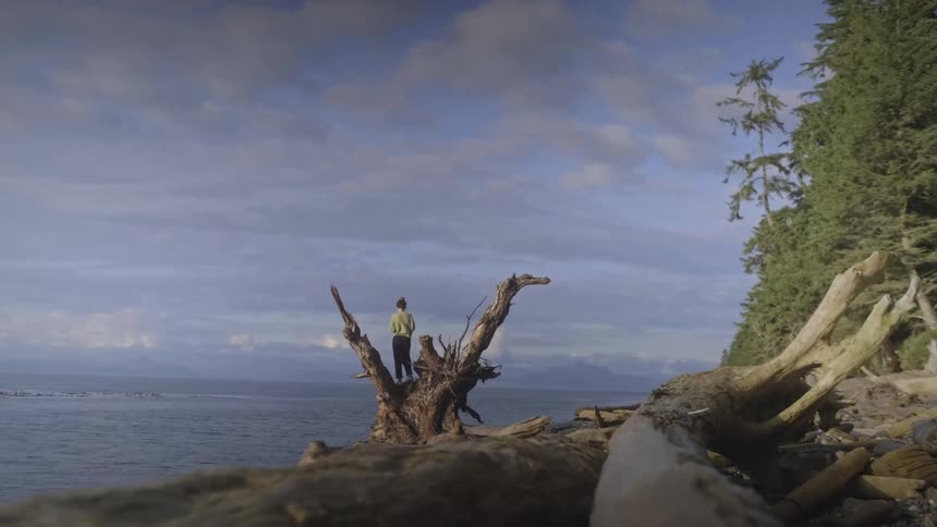 An adult stands on an old tree stump on an evergreen coastline