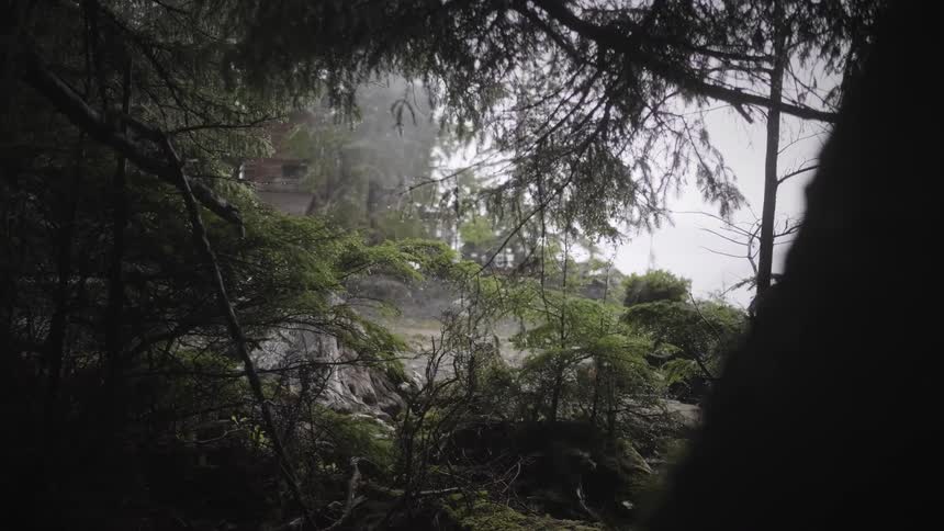 A house in the distance is seen through a frame of dark wet forest branches on a foggy or rainy day