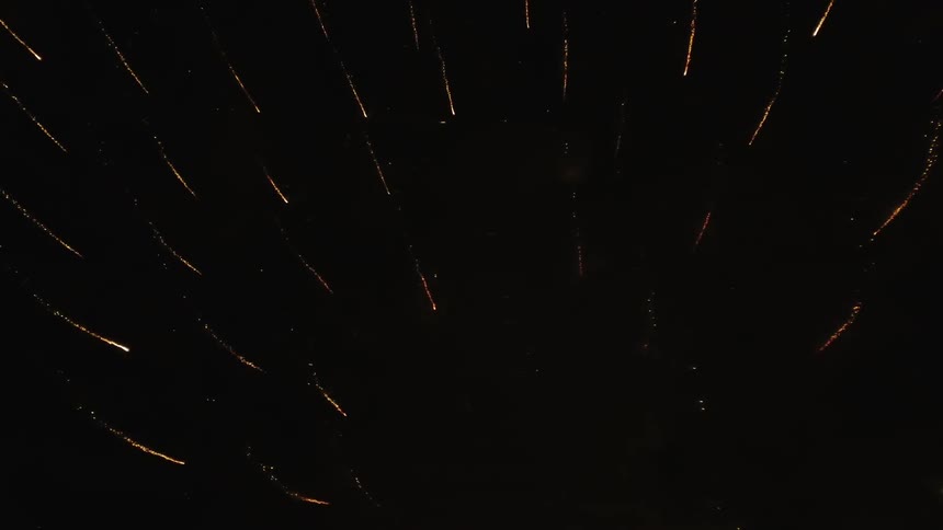 Fireworks shoot off in the night sky