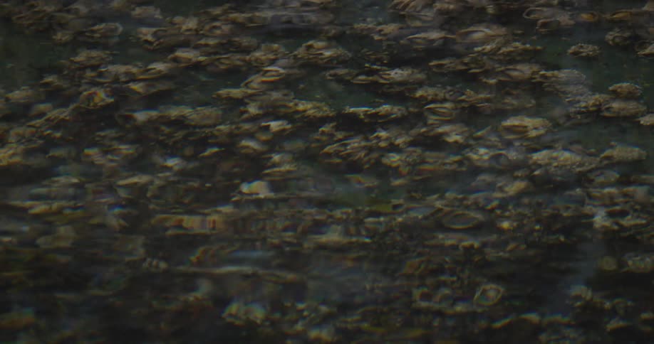 Shallow river with visible rocks
