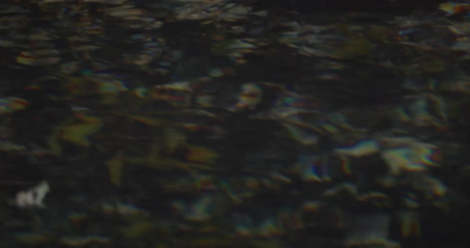 Ripples on the surface of clear water create a distorted abstract view of the rocks on the bottom