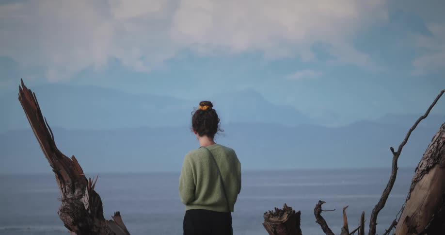 A bird flies past the woman on the shore
