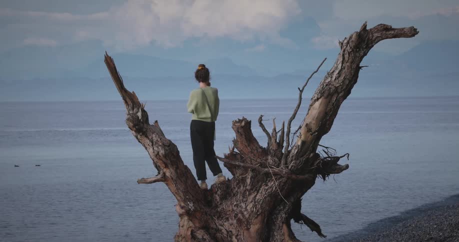 A woman stands on an old tree stump on an ocean coast