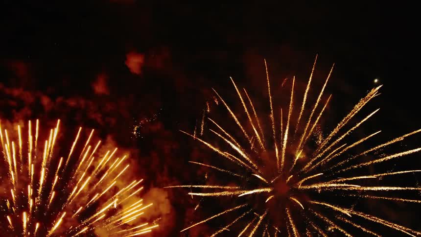 Several fireworks explode in the night sky