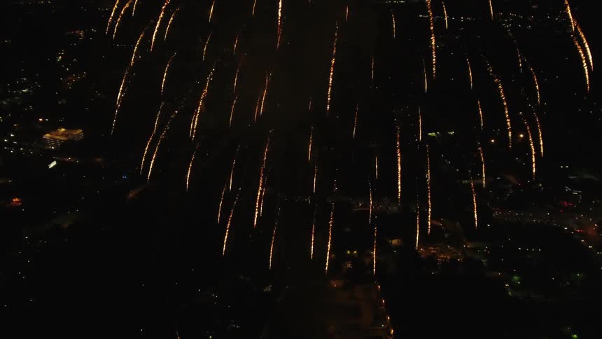 Fireworks explode in the dark night sky
