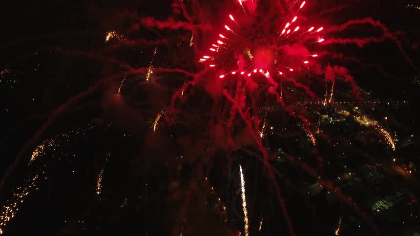 Fireworks explode in the night sky