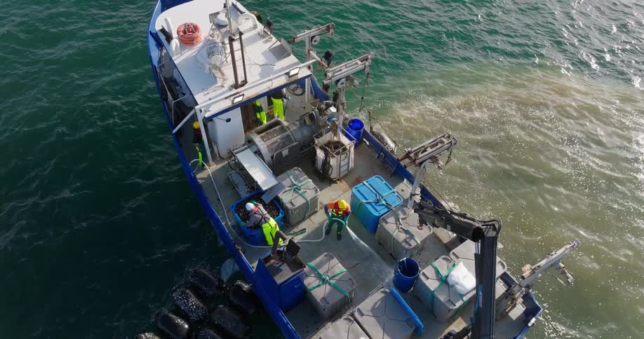 Fishermen are cleaning up the boat and using a hose