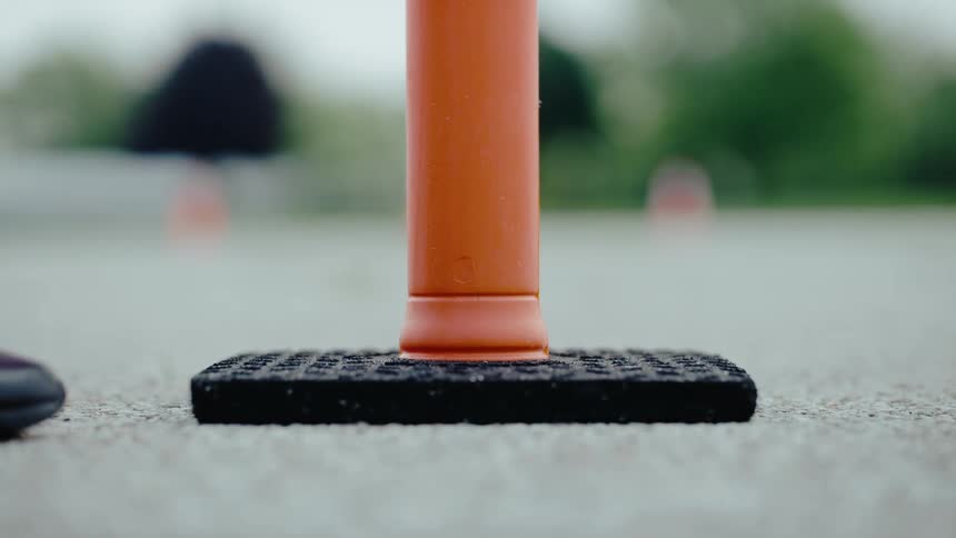 A traffic pylon is placed on a treelined road
