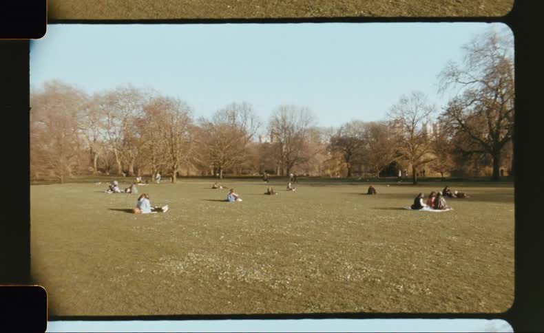 People sit in groups on a plain grassland park at midday enjoying picnics
