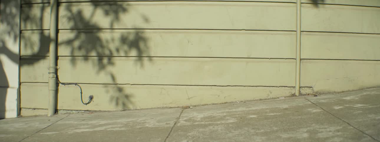 A man walks on a sidewalk on a sunny day