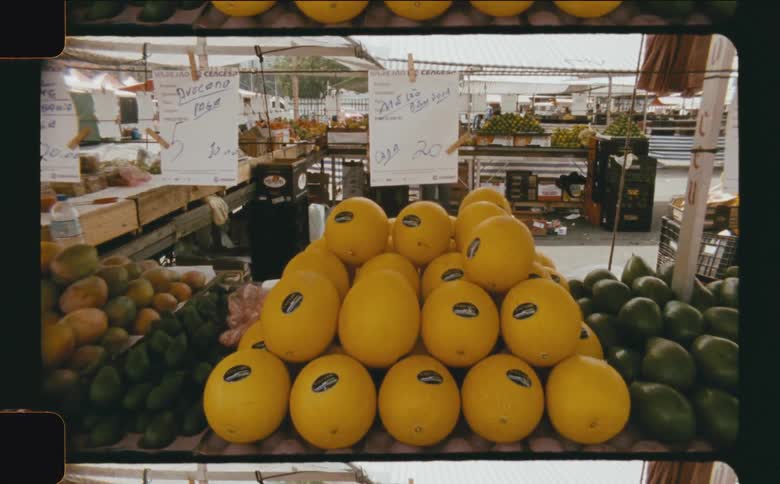 Lemons displayed next to limes at an outdoor market