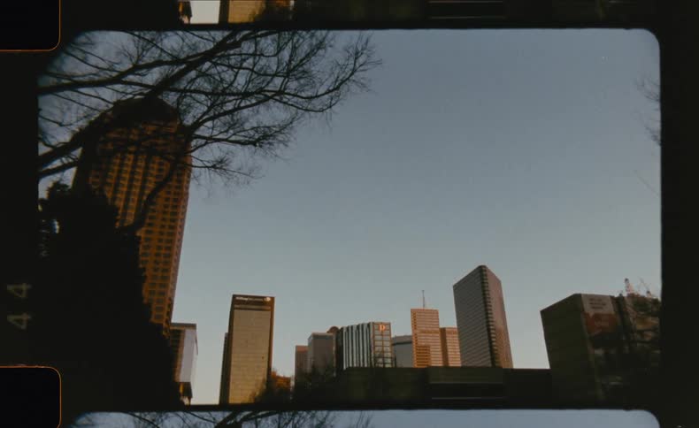 A skyline of tall buildings is seen from below with trees silhouetted against a clear sky at dusk