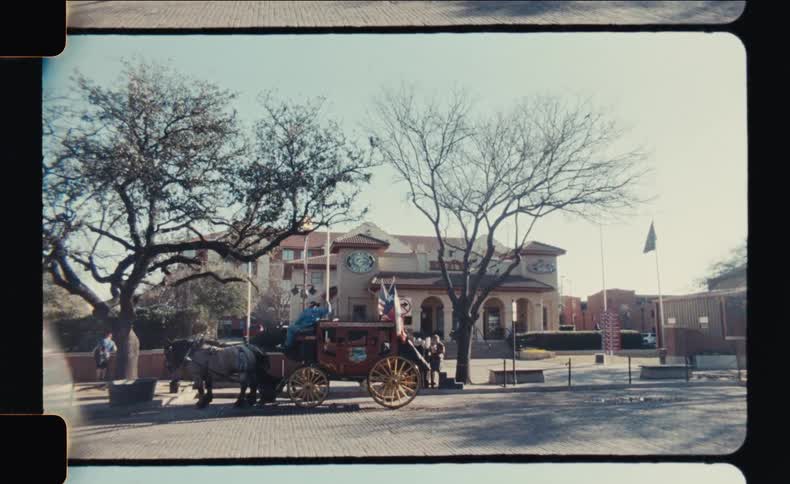 A horse drawn carriage is parked under trees in front of a historic looking building