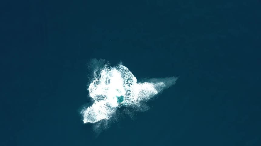 A magnificent whale likely a humpback swimming gracefully through the deep blue ocean viewed from an overhead perspective as it moves the whales tail creates distinctive patterns of bubbles and disturbed water on the surface