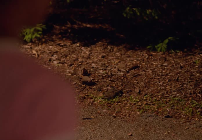 The girl picks up a rock near the injured boy