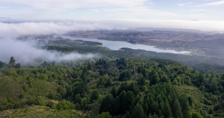A winding river snakes through a dense forest under a layer of drifting mist