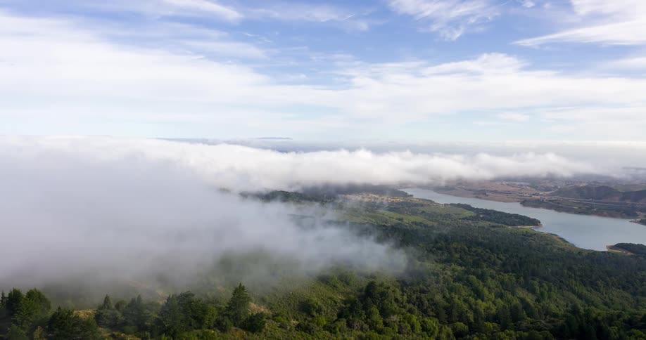 A forested area with a lake is covered in fog at midday