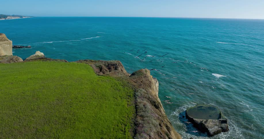 Panorama of birds flying over a peninsula