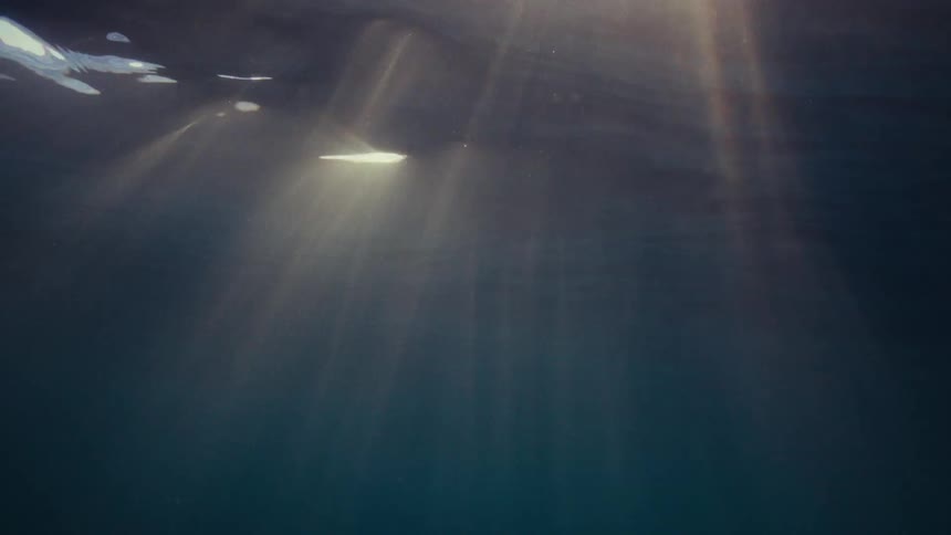 Underwater view of the blue ocean with solar reflections