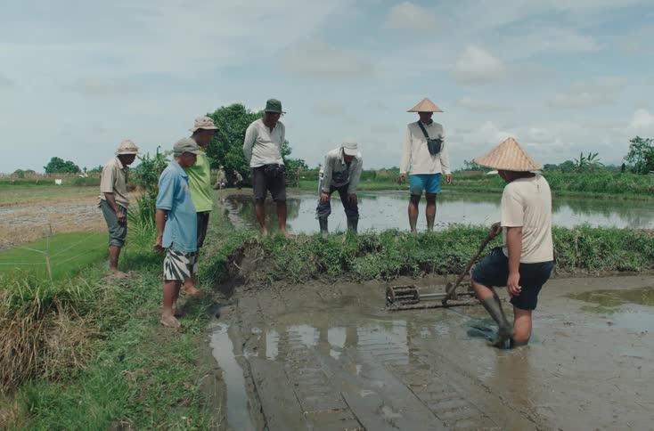 Farmers work together in a muddy rice field under a bright sky