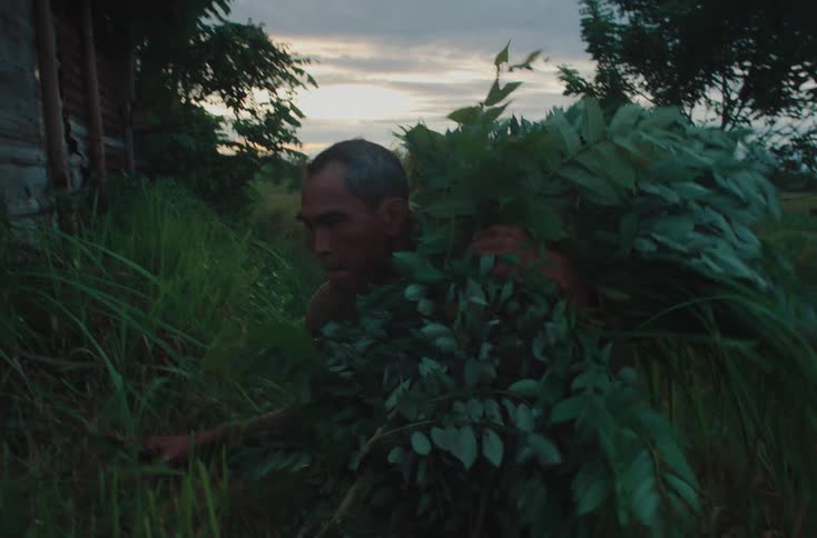 A farmer with a sickle in hand and a bundle of leaves on his shoulder walks through tall grass at dusk the sky filled with soft clouds
