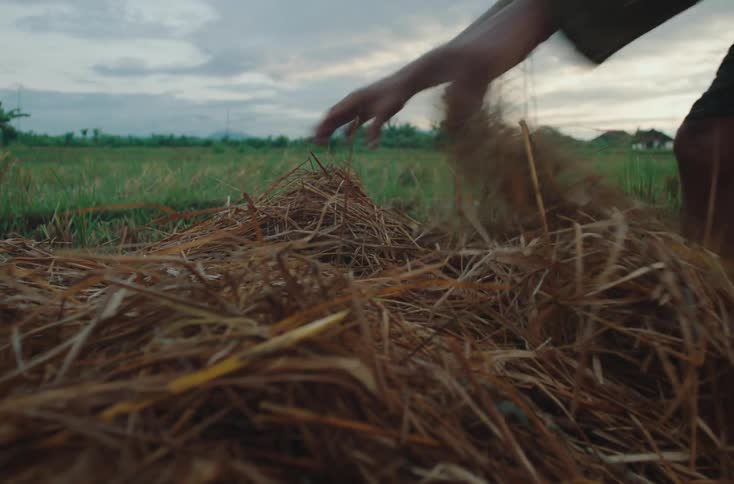 A person is shown in a field manually working with a large pile of dry straw or hay possibly during a harvest the background features green fields under a cloudy sky with a tall metal structure visible in the distance