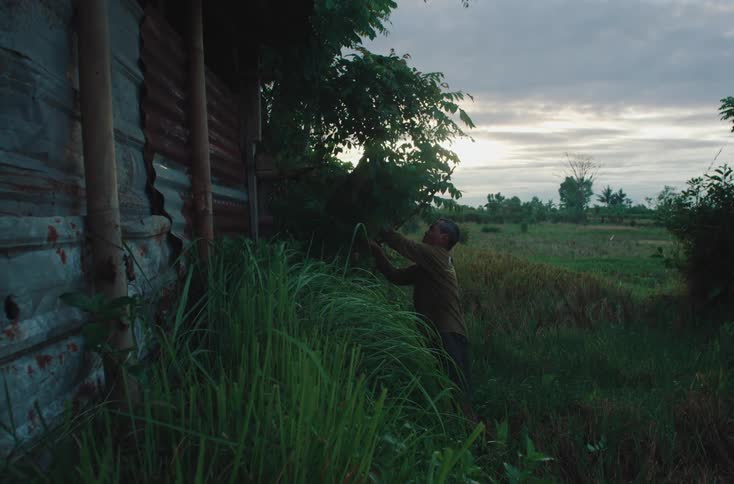 A person gathers branches beside a rusty metal structure surrounded by tall grass at dusk