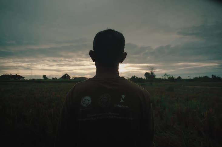 Male farmer stands in the middle of a field outdoors at sunset