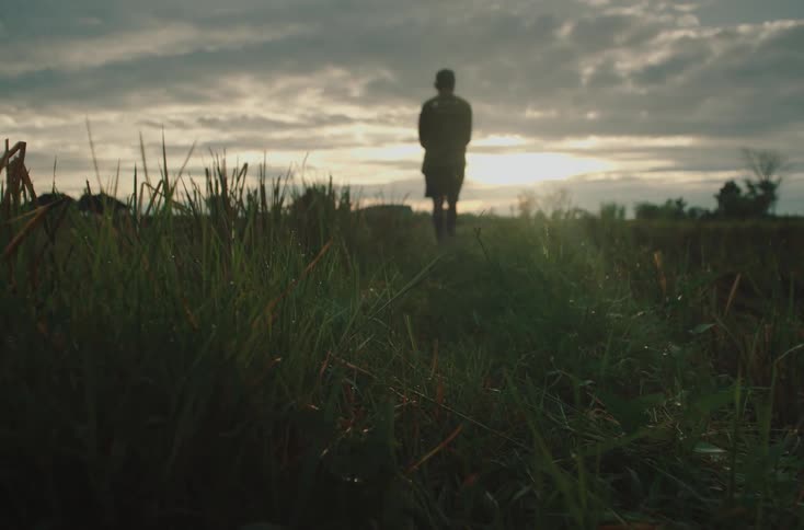A person walks alone through a grassy field at sunset