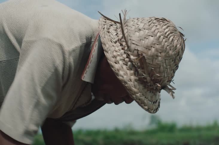A farmer wearing a straw hat and blue shirt bends down to plant rice seedlings in a muddy field under a cloudy sky