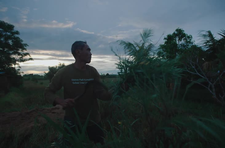 A male farmer harvests a plant on a field with a sickle during daytime