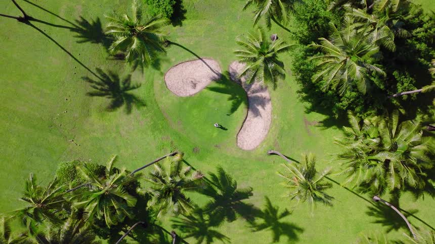 Birds eye view golfer walking towards sand traps surrounded by palm trees